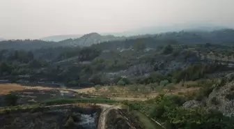 Geyve'de Orman Yangını Kontrol Altına Alınıyor