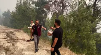 Pamukova'dan Orman Yangınına Destek