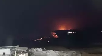 Sakarya'da Orman Yangını: Ekipler Seferber Oldu