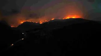 Sakarya'da Geniş Alanı Kapsayan Orman Yangını Havadan Görüntülendi
