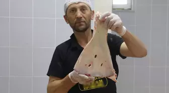 Selçuklu'dan kalan gelenek asırlardır sürdürülüyor, büyü yapılmasın diye kürek kemikleri kırılıyor