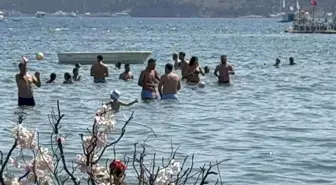 Bodrum'da Sahte Rezervasyon Alarmı: Turistler Mağdur Oluyor