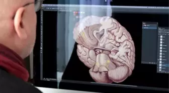 Tıp taban puanları 2025 kaç, Tıp kaçla kapattı, Tıp sıralaması geçen yıl kaçtı?