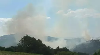 Uşak'ta Orman Yangını 19 Saat Sonra Kontrol Altına Alındı