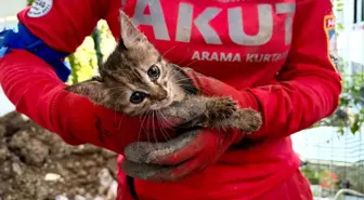Kocaeli'de Yavru Kedi 7 Gün Sonra Kurtarıldı