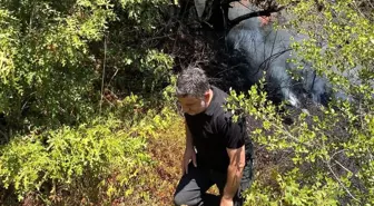 Sakarya'da Orman Yangını Kontrol Altına Alındı