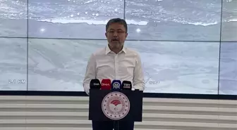 Bilecik ve Sakarya'daki Orman Yangınları Kontrol Altında