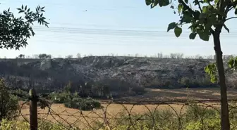 Başakşehir'de Konutlara Yakın Çalılık Alanda Yangın Çıktı