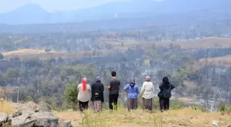Sakarya'daki Orman Yangınında Mücadele 3. Güne Girdi