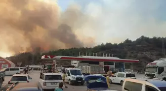 Sakarya ve Bilecik'teki Orman Yangınına Müdahale Devam Ediyor