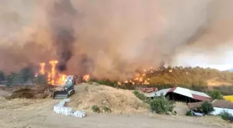 Bilecik'te Orman Yangını Yeniden Başladı
