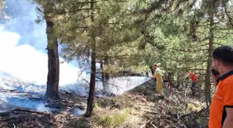 Bolu'da Orman Yangını Kontrol Altına Alındı