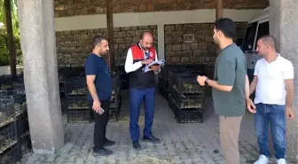 Muş'ta Kaz Yetiştiriciliği Projesi İle Kırsal Kalkınma Hedefleniyor