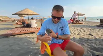 Yelkovan Kuşu Can Kurtaran Tarafından Kurtarıldı