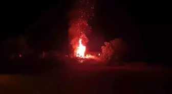 Datça'da Otluk Alandaki Yangın Hızla Söndürüldü