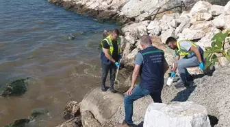 Yalova Belediyesi'ne Deniz Kirliliğinden 1 Milyon TL Ceza