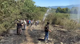 Zonguldak'ta Fındık Bahçesinde Yangın Kontrol Altına Alındı