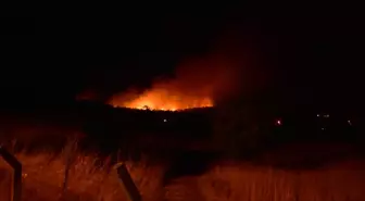 İzmir'in Urla İlçesinde Yangın: Havadan ve Karadan Mücadele Devam Ediyor