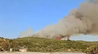 İzmir Urla'da Orman Yangını
