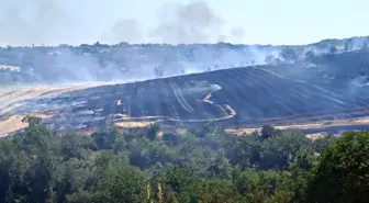 Tekirdağ'da Anız Yangını 200 Dönüm Alanı Kül Etti