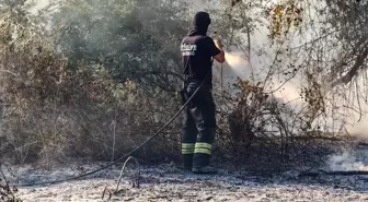 Tekirdağ'da Anız Yangını Ormanlık Alana Sıçradı