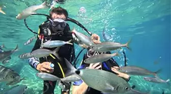 Marmaris'te Dalış Turizmi İlgi Görüyor