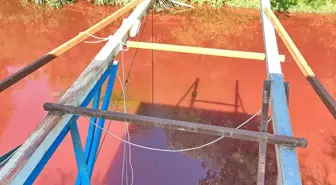 Mudurnu Çayı Kirlilik Tehdidi Altında