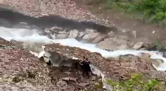 Rize'de Kar Yığınının Altında Kalan Kişi İçin Arama Kurtarma Çalışmaları Başlatıldı