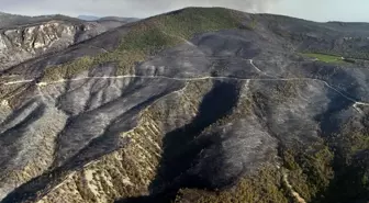 Sakarya'da orman yangınının neden olduğu tahribat havadan görüntülendi
