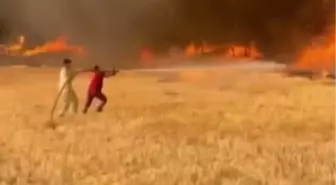 Alev Hortumu Oluştu: Yangınla Mücadele Devam Ediyor