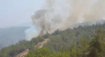 Geyve'deki Orman Yangınında Alevler Yeniden Canlandı