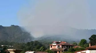 Sakarya'da Orman Yangını Kontrol Altına Alındı
