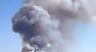 Sakarya'da Hendek'te Orman Yangını Çıktı