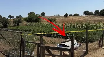 Sebze bahçesine giden kadının cansız bedeni bulundu