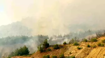 Bilecik'te Tarihi İpek Yolu'nda Yangın İlerliyor