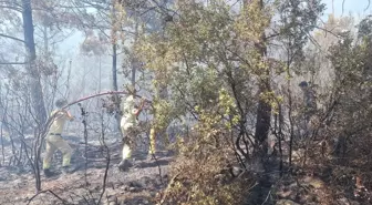 Kaş'ta Orman Yangını Kontrol Altına Alındı