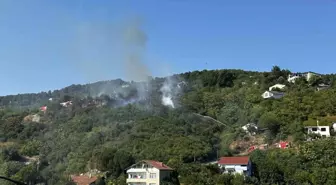 Beykoz'da Orman Yangını Kontrol Altına Alındı