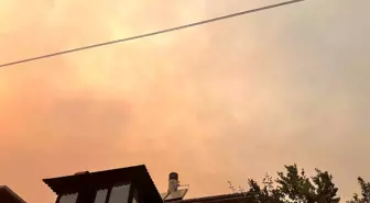 Bilecik'te Orman Yangını Kent Merkezine Kül Yağdırıyor