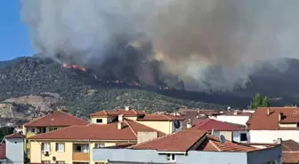 Bilecik'te Orman Yangını Yeniden Alevlendi