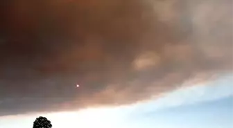 Bilecik'teki Yangın Rüzgarla Yeniden Büyüdü