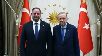 Cumhurbaşkanı Erdoğan, Ukrayna Devlet Başkanlığı Ofisi Başkanı Yermak'ı kabul etti