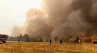 Denizli'nin Çal İlçesinde Orman Yangını Kontrol Altına Alındı