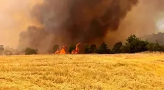 Denizli'de Orman Yangınına Havadan ve Karadan Müdahale