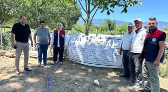 Düzce Çiftçileri, Dondurma Kavunu ile Türkiye Pazarında!