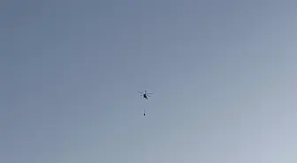 İzmir Urla'da Orman Yangınına Havadan Müdahele Başladı