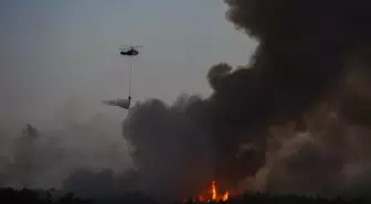 İzmir orman yangını! İzmir orman yangını söndürüldü mü, son durum ne?