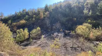 Karabük'te Orman Yangını: 55 Hektar Zarar Gördü