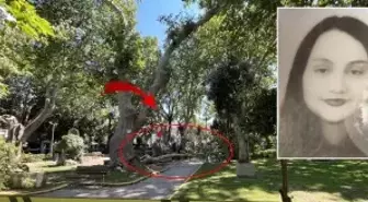 Kırılan ağaç dalının altında kalan Seda da hayatını kaybetti