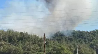 Manisa'da Orman Yangını: Müdahale Devam Ediyor