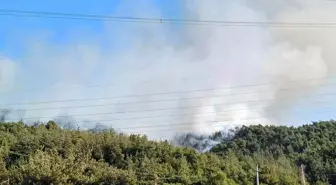 Manisa'da Ormanlık Alanda Yangın Çıktı
